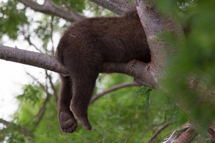Лучшие фотографии National Geographic за август