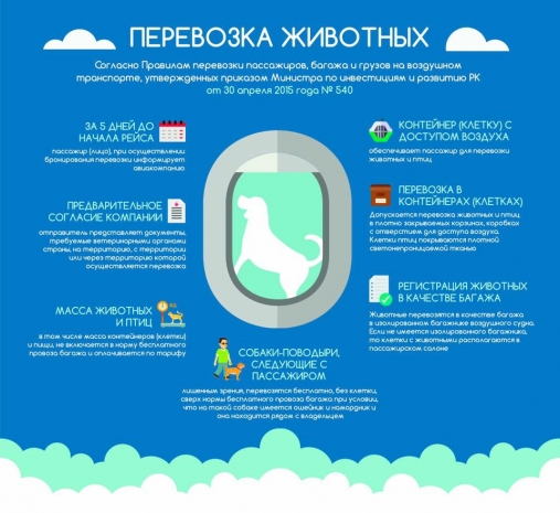 В КГА разъяснили нормы провоза домашних питомцев
