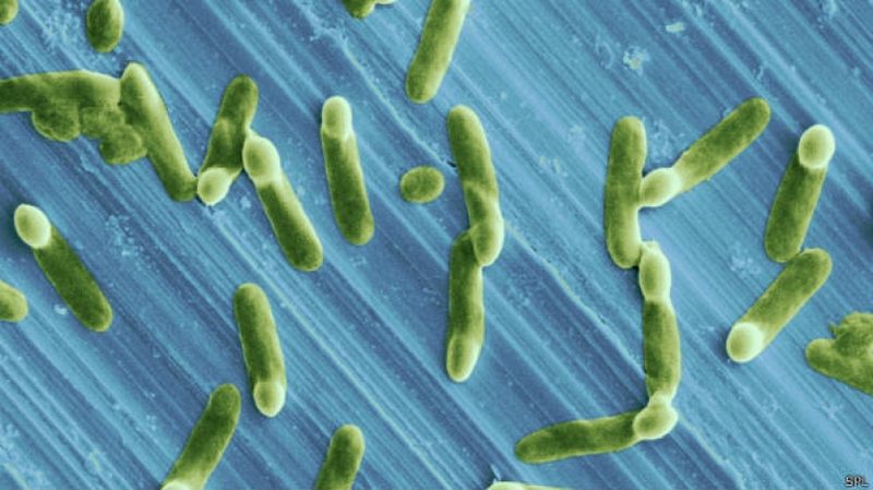 Кэмерон: устойчивость к антибиотикам - глобальная угроза