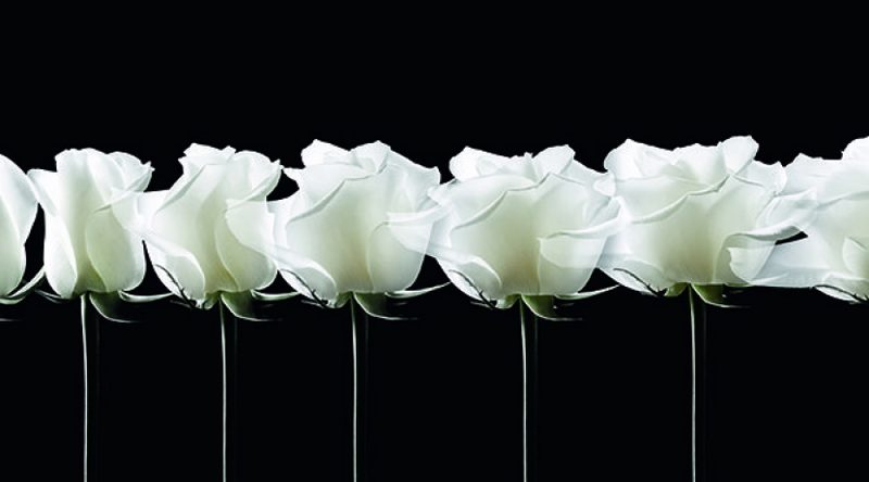 Дом Dior выпускает сыворотку Nectar de Nuit