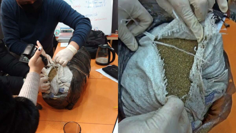 11 килограммов марихуаны нашли в образовательном центре Семея