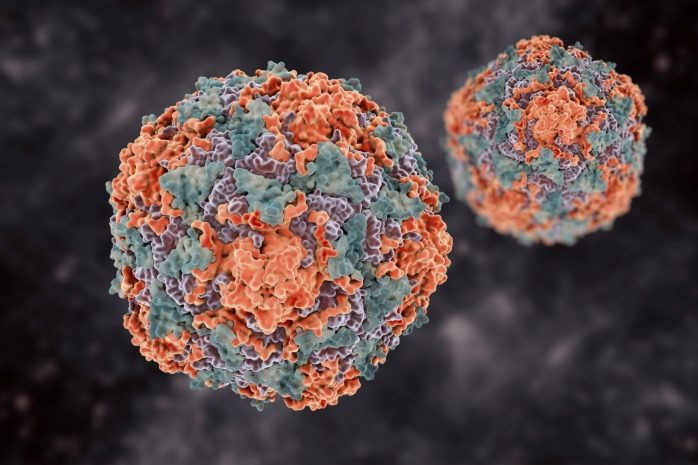 Китай передал ВОЗ данные генома коронавируса с рынка в Пекине