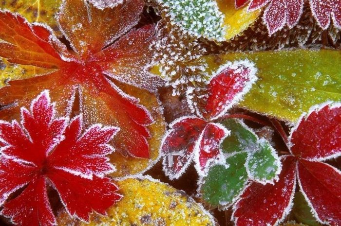 В Казахстане обещанные заморозки пошли на спад