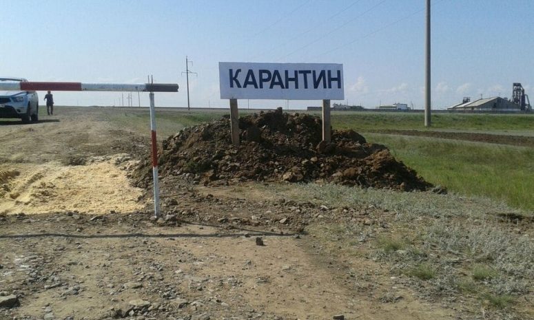 Несанкционированный скотомогильник стал источником сибирской язвы - Минздрав РК