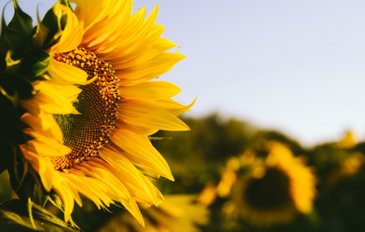 В Актау дождь, в Талдыкоргане ветер, в Кызылорде будет жарко