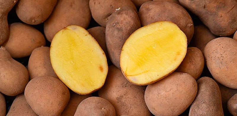 Испанцы бунтуют и разбрасываются картошкой