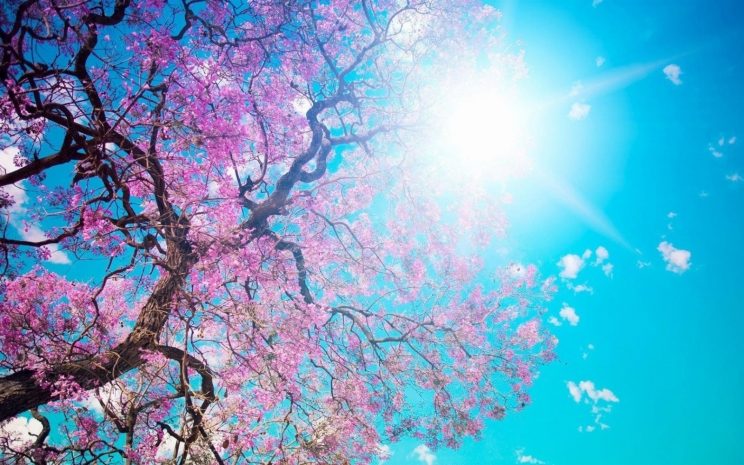 Народные приметы: солнечный день к жаркому лету