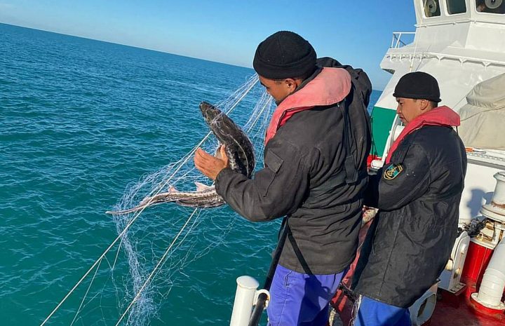 Ущерб почти на 2 миллиарда тенге предотвращен от браконьерства в Мангыстау