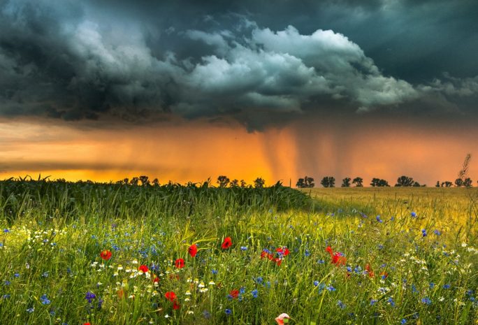 Дожди и грозы пройдут в нескольких областях Казахстана