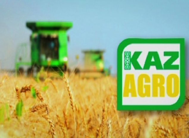 Зачем единственный акционер КазАгро решил разместить одну акцию на KASE?