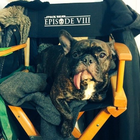 Стало известно рабочее название восьмого эпизода «Звездных войн»