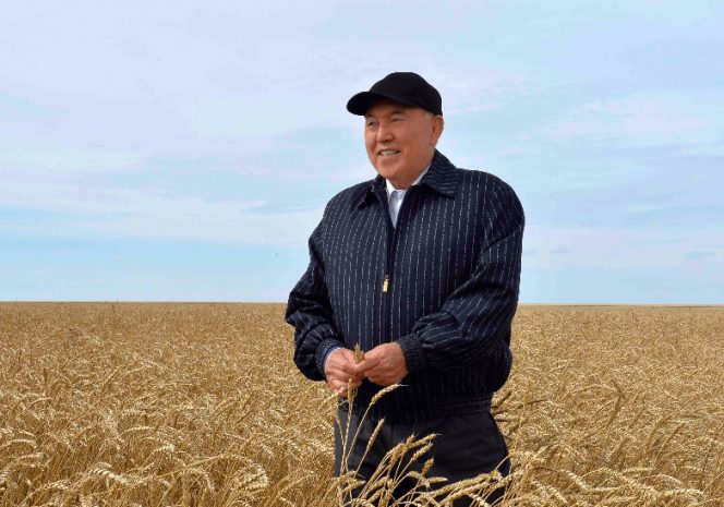 Нурсултан Назарбаев ознакомился с работой аграрного предприятия