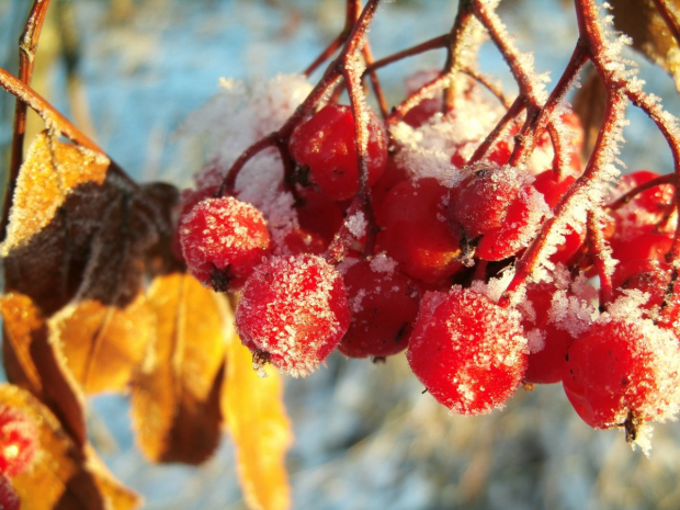 Погода без осадков ожидается на большей территории Казахстана