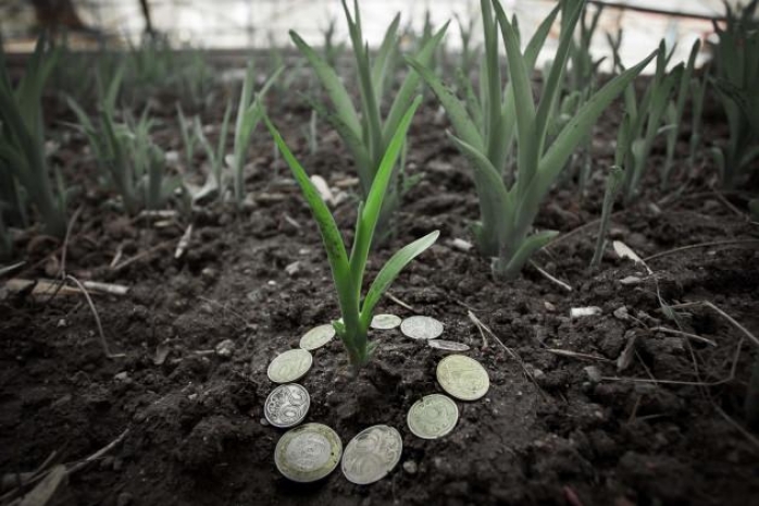 В Семее на аукцион выставлены 15 земельных участков