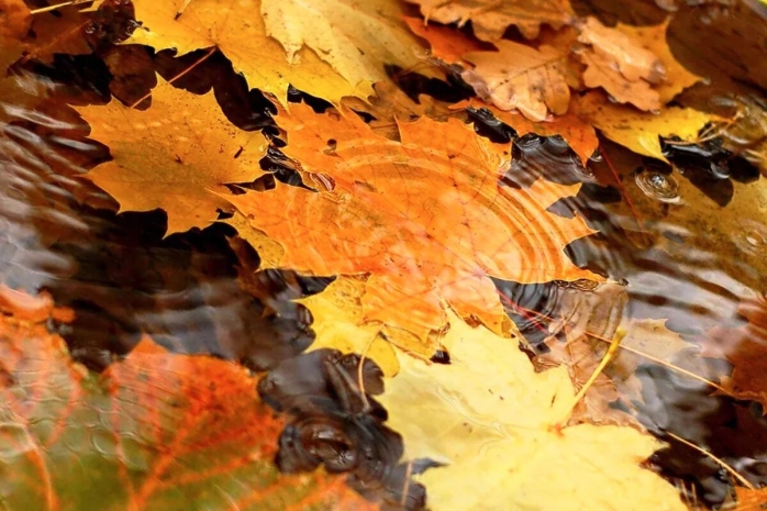 Дожди пройдут на юго-западе Казахстана