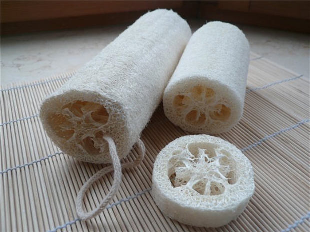 Мочалки из люфы признали опасными для здоровья