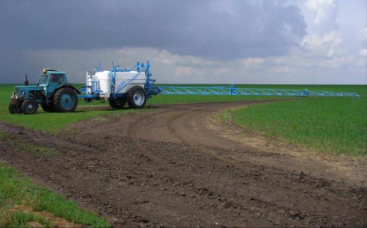 Эксперт: Продпояса вокруг городов - невыполнимая затеяЭксклюзив