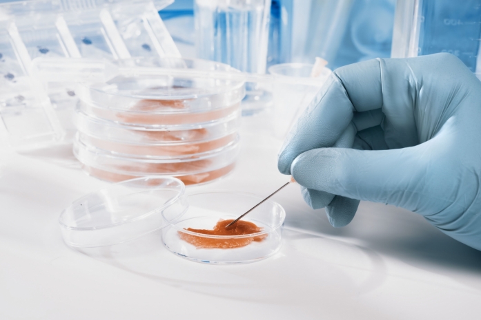 МСХ РК обнаружило вредные вещества в российской и белорусской продукции