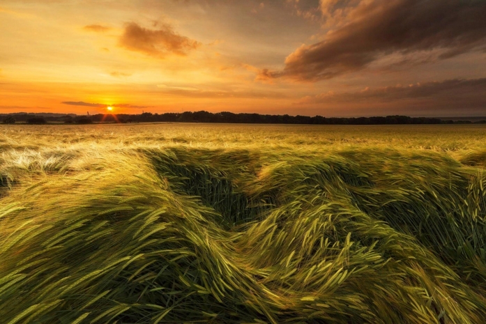 Ветреная погода ожидается в нескольких областях Казахстана