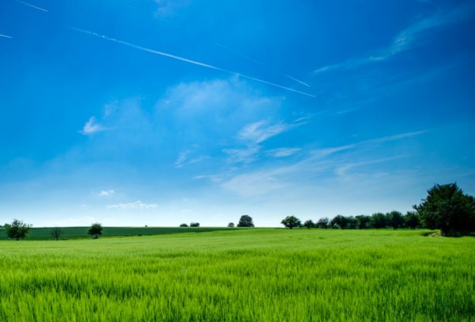 Передачу земель под туристический объект затягивал районный акимат в ВКО