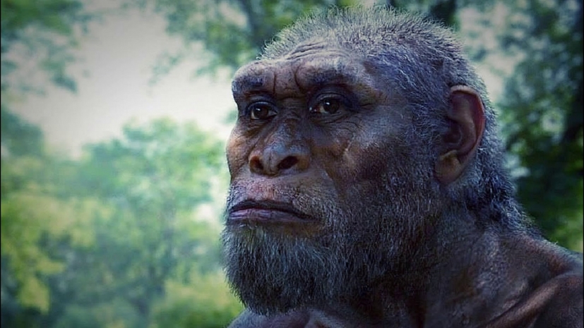 Ученые догадались, зачем человеку такое лицо