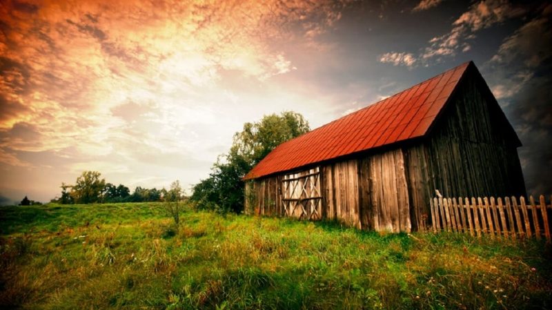 Девять лет прожила в подвале в ожидании конца света семья в Голландии