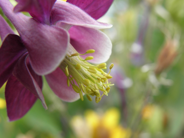 Погода без осадков ожидается на западе Казахстана