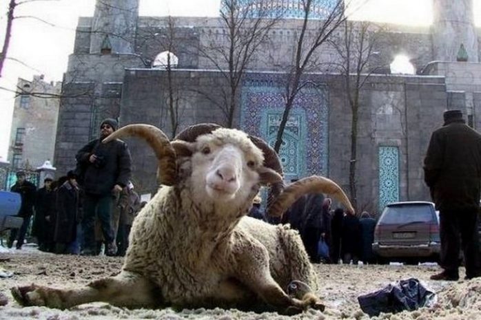 В Астане определены места забоя животных на Курбан-айт