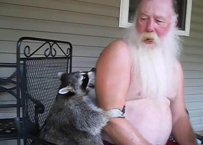 Енот и веселый дедушка покорили YouTube