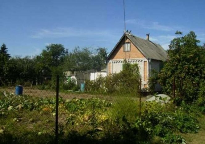 Дачный насильник задержан в Павлодаре