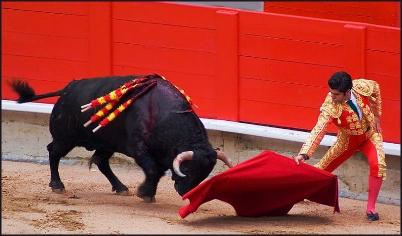 В Испании впервые за 35 лет отменена коррида