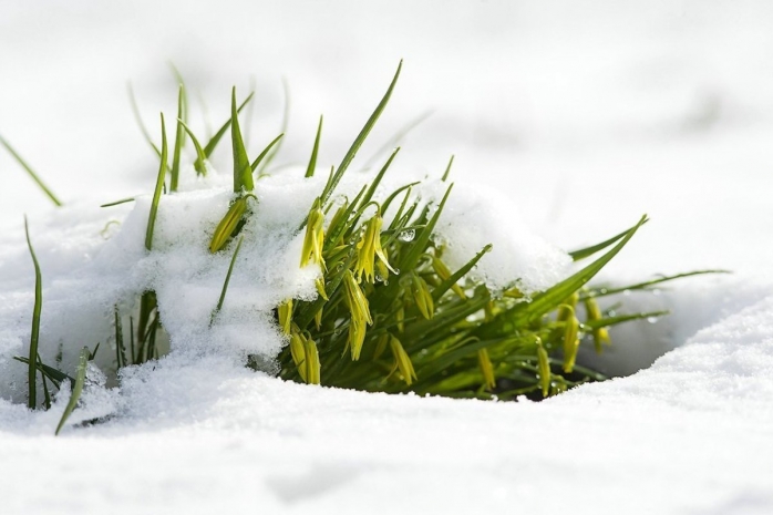 Народные приметы: не время давать обещания