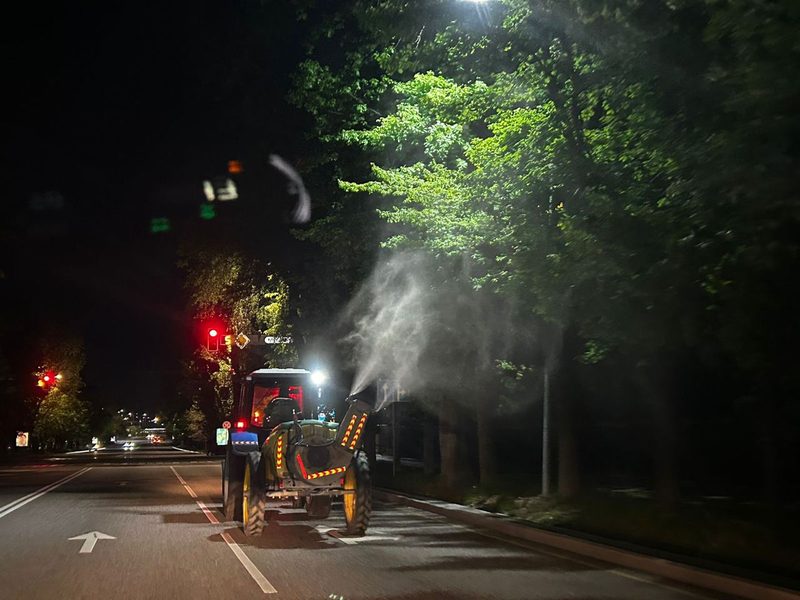 Обработку деревьев от вредителей начали в Алматы