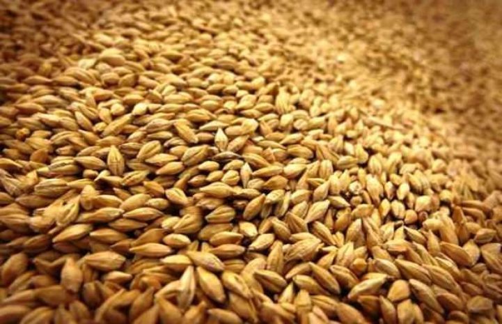 Производители круп ждут открытия таможенной границы с Кыргызстаном