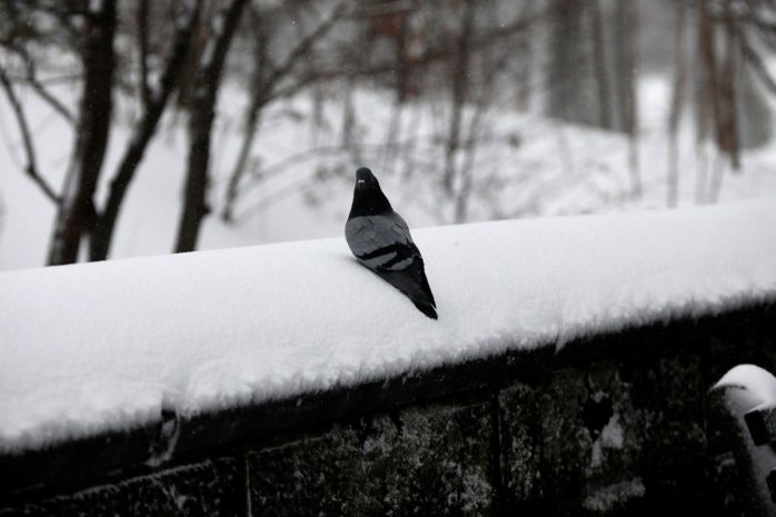 Неустойчивая погода ожидает казахстанцев на выходные