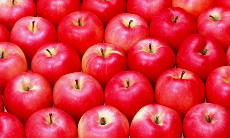 В Алматы празднуют День города