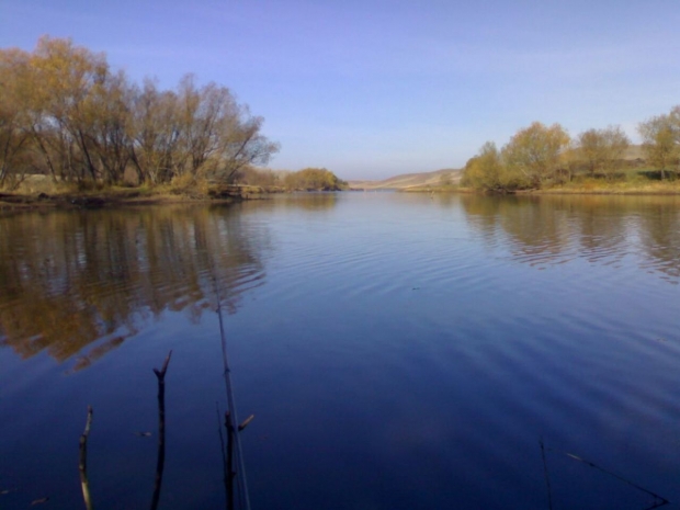 Для сохранения леса в пойме Урала будет создан резерват