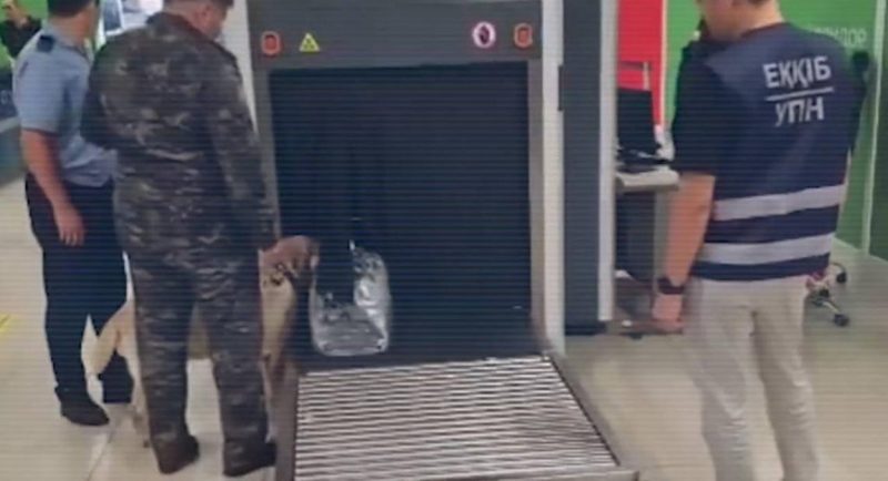Крупную партию марихуаны изъяли при досмотре в аэропорту Алматы