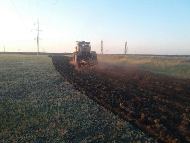 В Кызылорде незаконно торговали землей