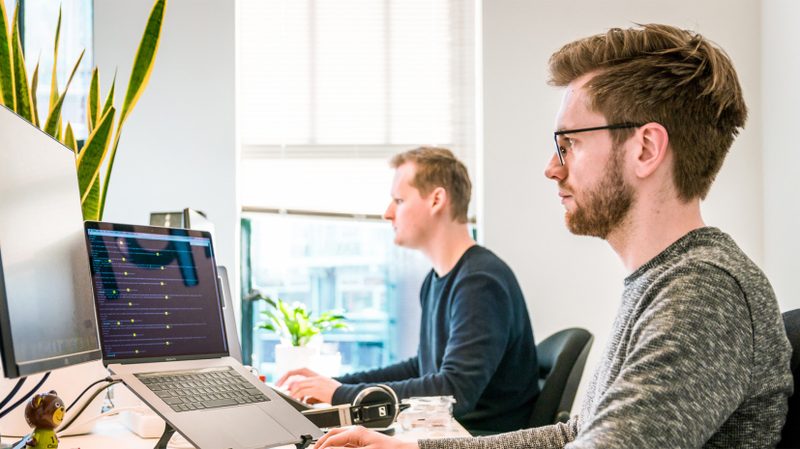 День программиста в России и праздник сбора винограда в Румынии