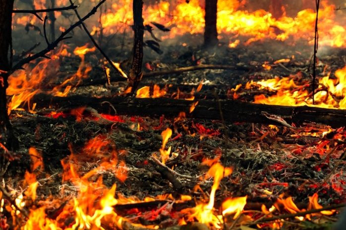 Мать с ребенком погибли при пожаре в Кушмуруне