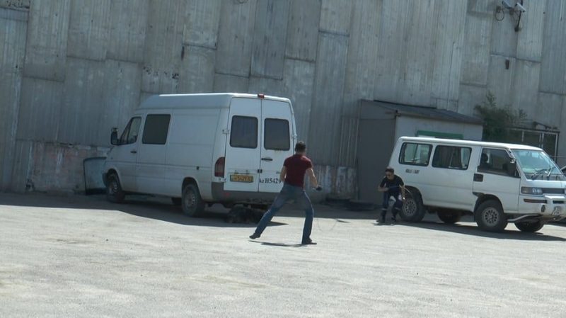 Полиция Алматы провела операцию «Бродячий пес»