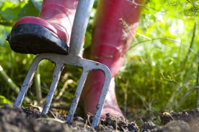 В Казахстане 28 сентября впервые будет отмечаться День труда