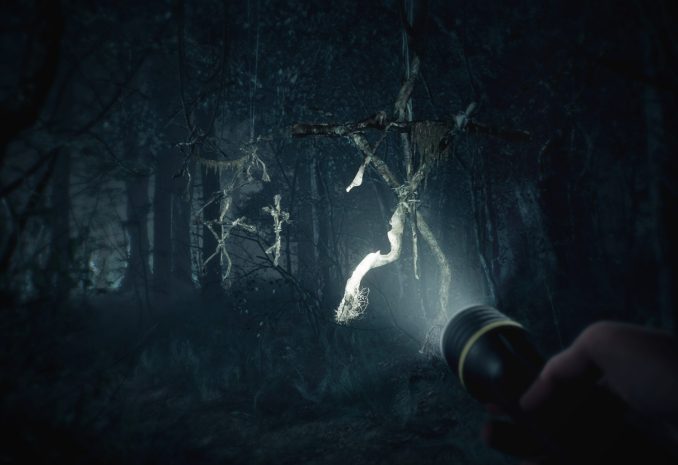 Запущено в производство продолжение ужаса «Ведьма из Блэр»