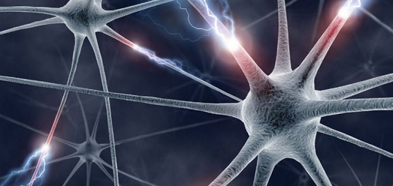 Ученые подтвердили, что сон улучшает память