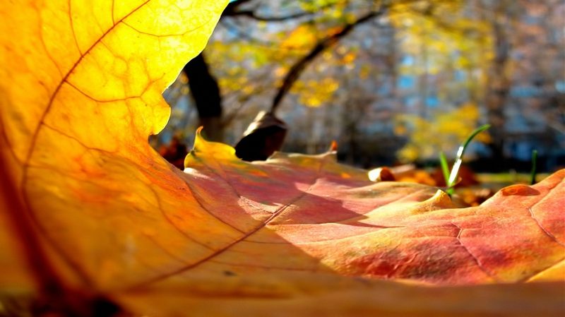 21 ноября большую часть РК ждет погода без осадков