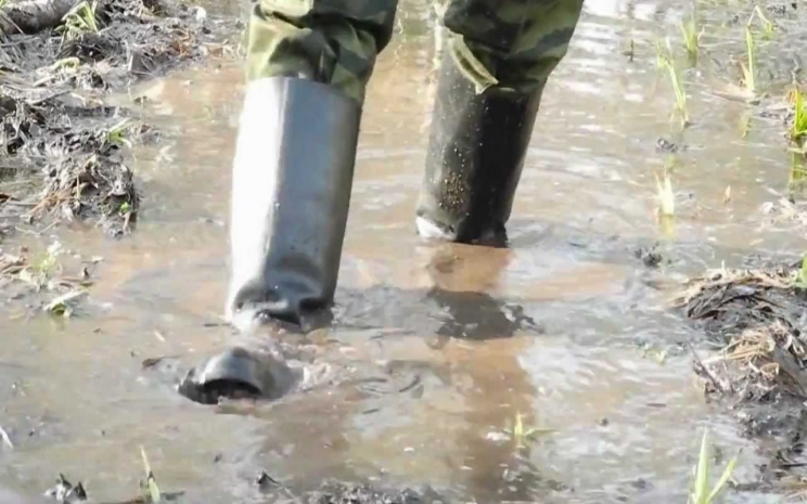 Дожди затопили село Жынгылды в Мангыстау