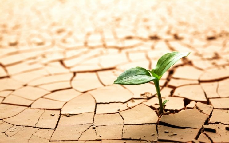 Умеренная засуха ожидается в девяти районах Казахстана