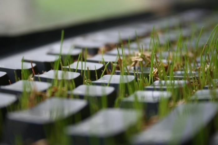 «Зеленый» офис: как сделать рабочее место экологичным