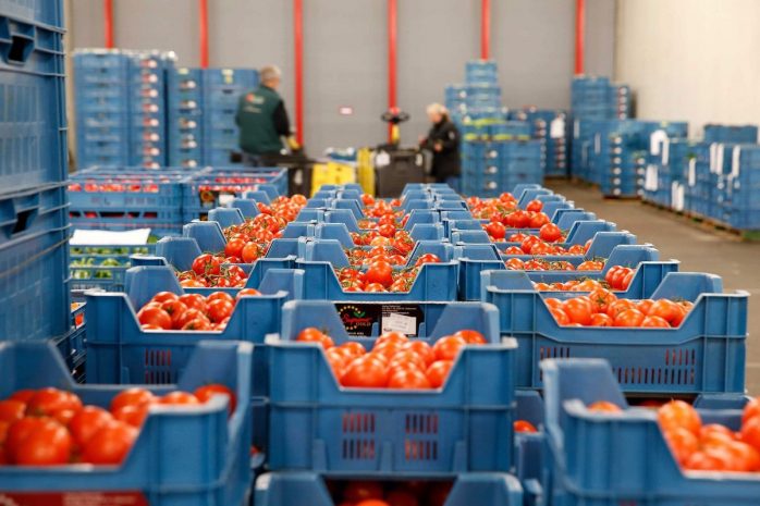 Ввоз 199 тонн продукции из Казахстана и Кыргызстана не допустил Россельхознадзор